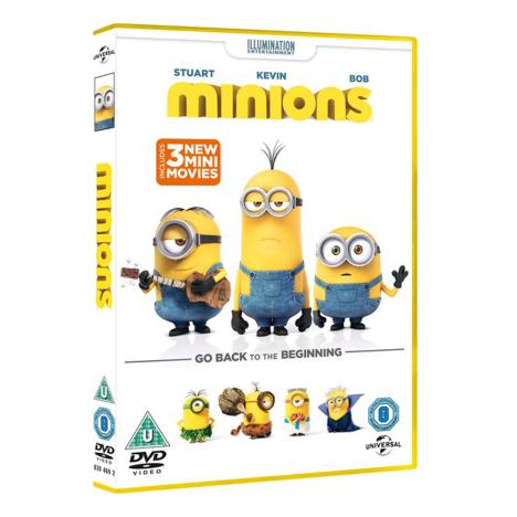 Minions Movie DVD £14.99